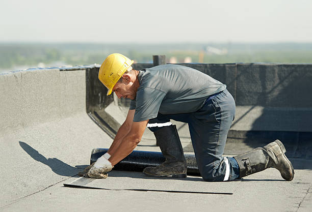 Best Specialized Insulation Services in Fincastle, TN
