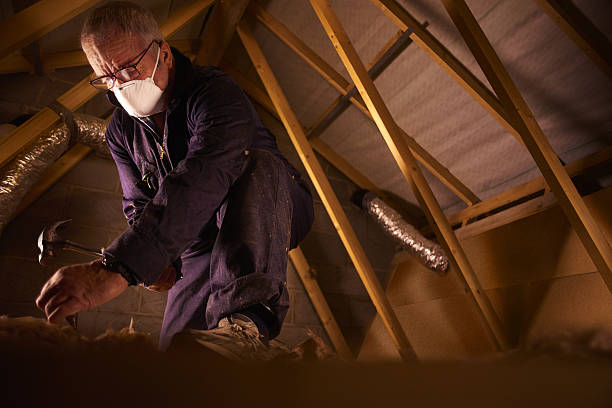 Best Fiberglass Insulation in Fincastle, TN
